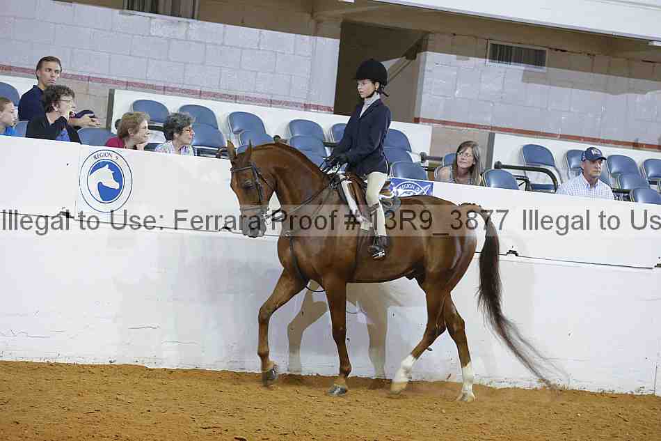 Proof 13r9_3877