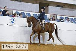 13r9_3877 proof