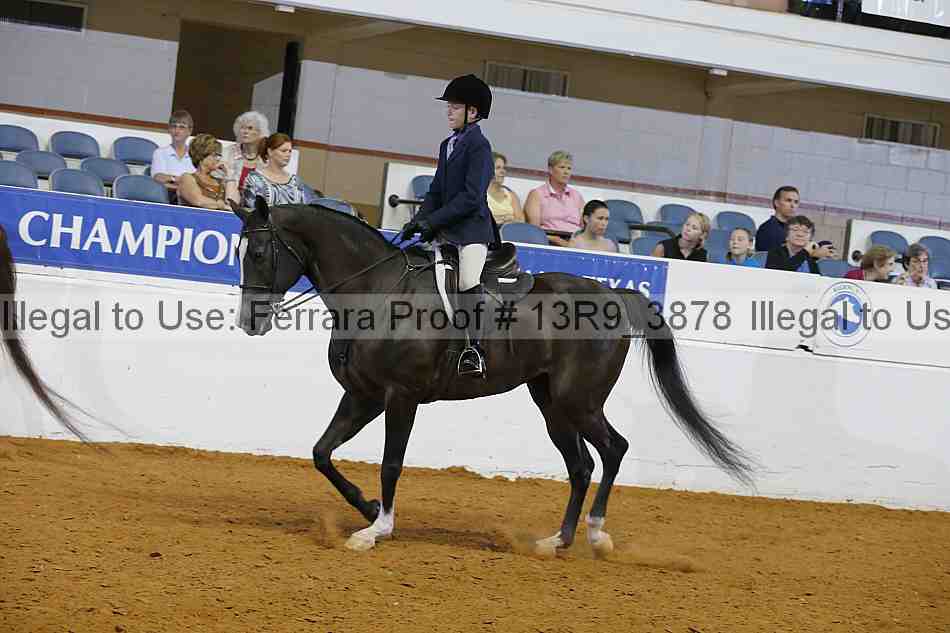 Proof 13r9_3878