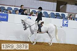 13r9_3879 proof