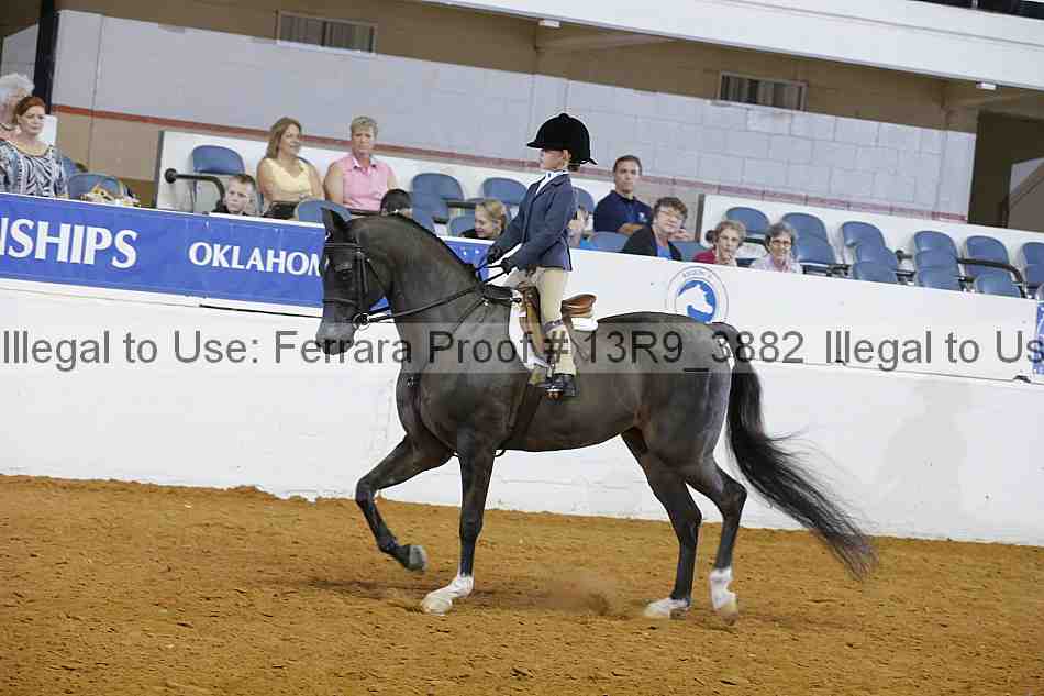 Proof 13r9_3882