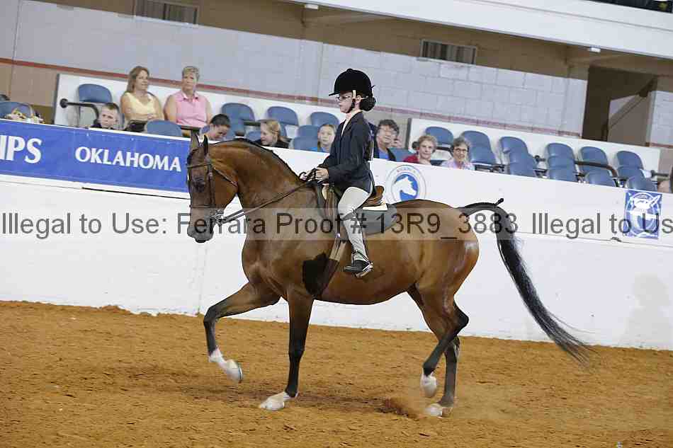 Proof 13r9_3883