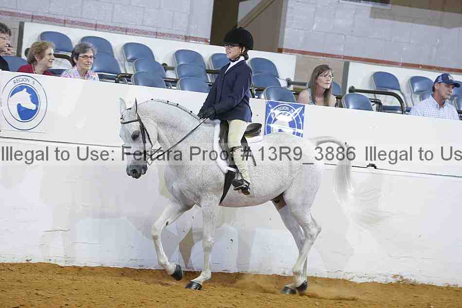 Proof 13r9_3886