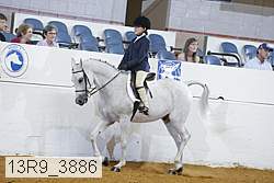 13r9_3886 proof