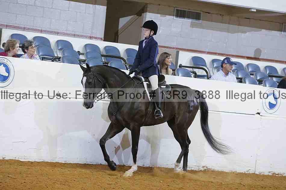 Proof 13r9_3888