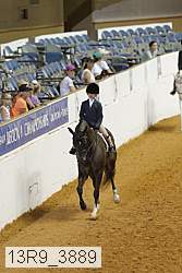 13r9_3889 proof