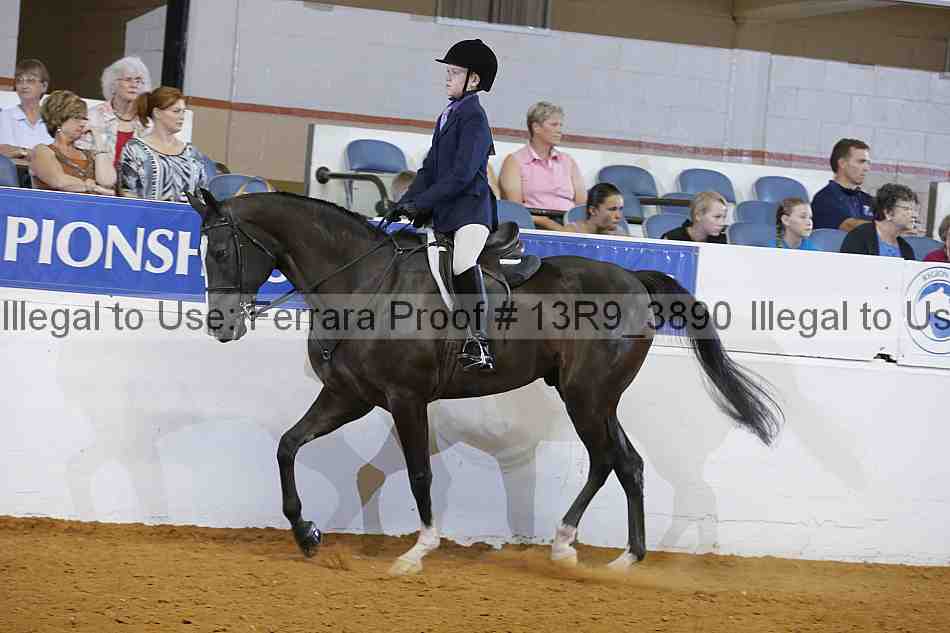 Proof 13r9_3890
