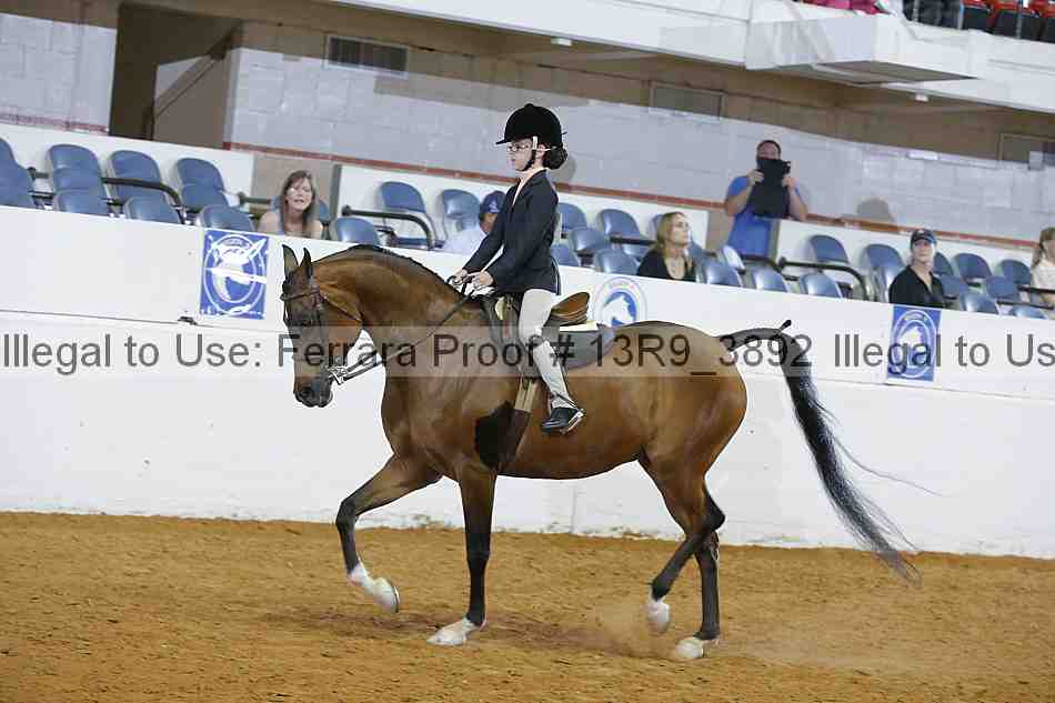 Proof 13r9_3892