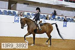 13r9_3892 proof