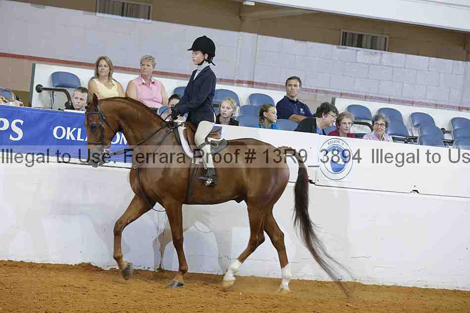 Proof 13r9_3894