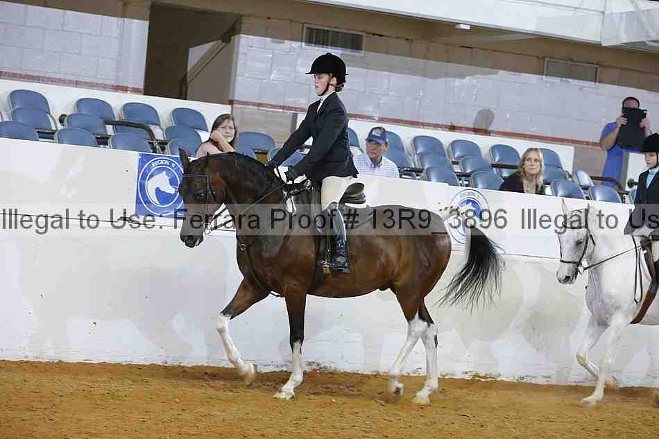 Proof 13r9_3896