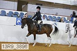 13r9_3896 proof