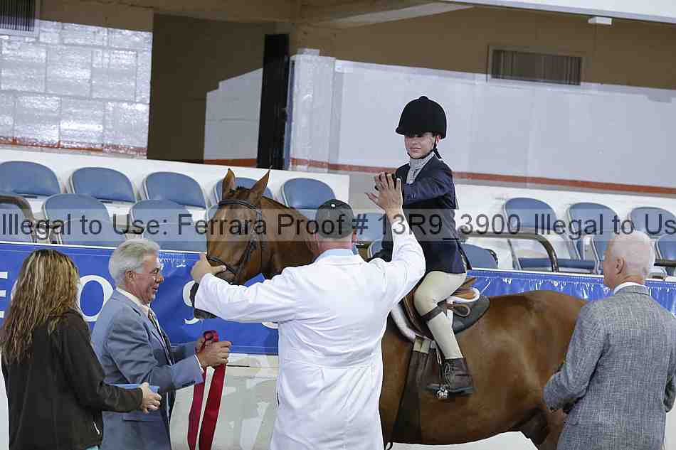 Proof 13r9_3900