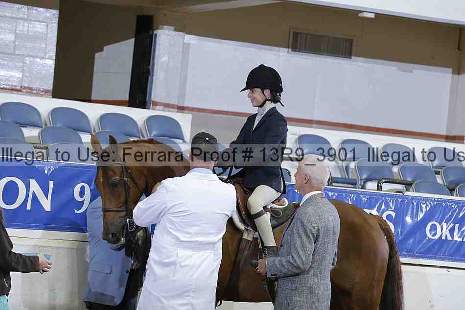 Proof 13r9_3901