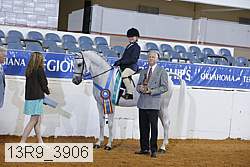 13r9_3906 proof