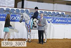 13r9_3907 proof