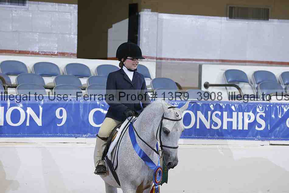 Proof 13r9_3908