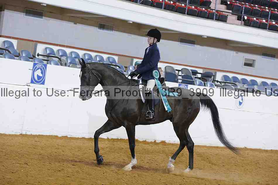 Proof 13r9_3909