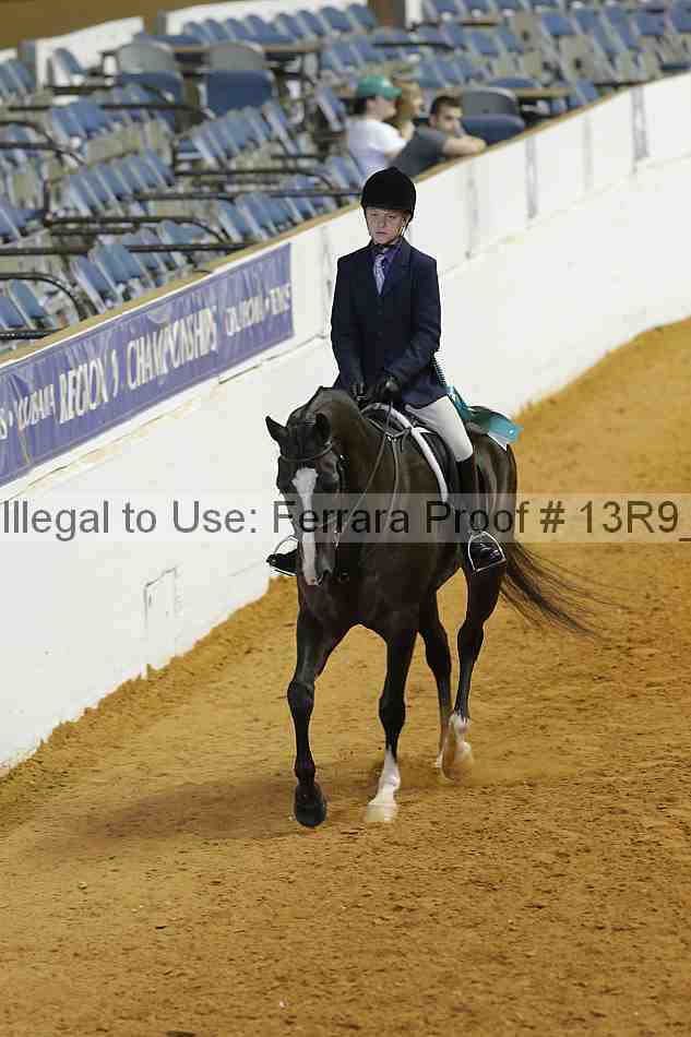 Proof 13r9_3911