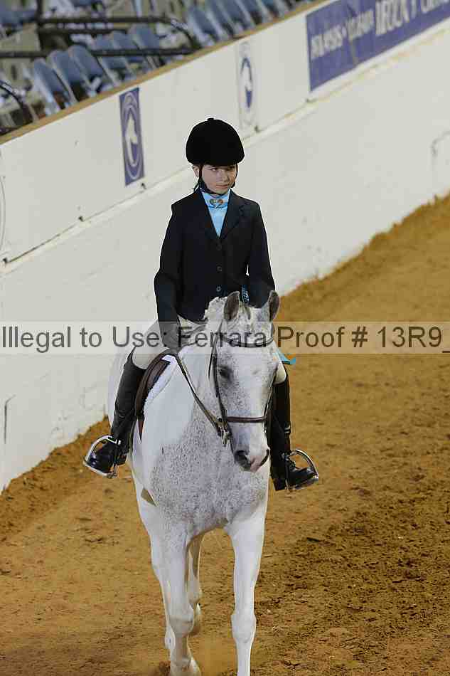 Proof 13r9_3916