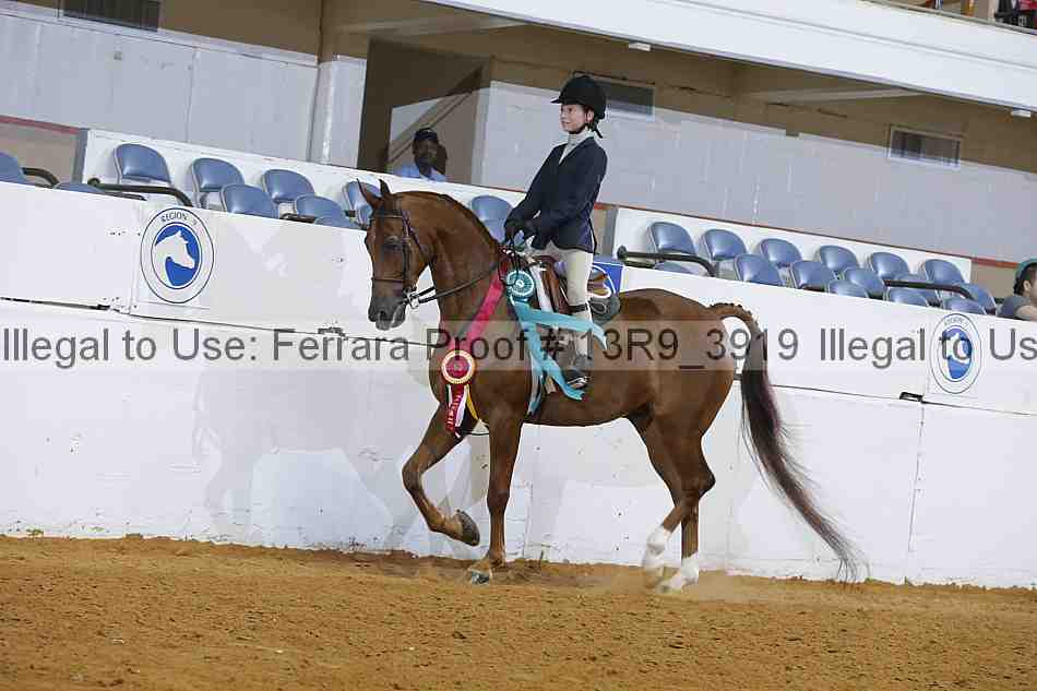 Proof 13r9_3919