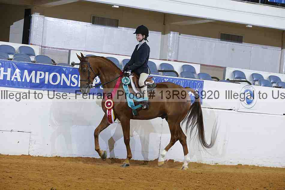 Proof 13r9_3920