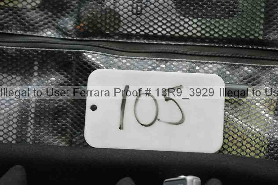 Proof 13r9_3929