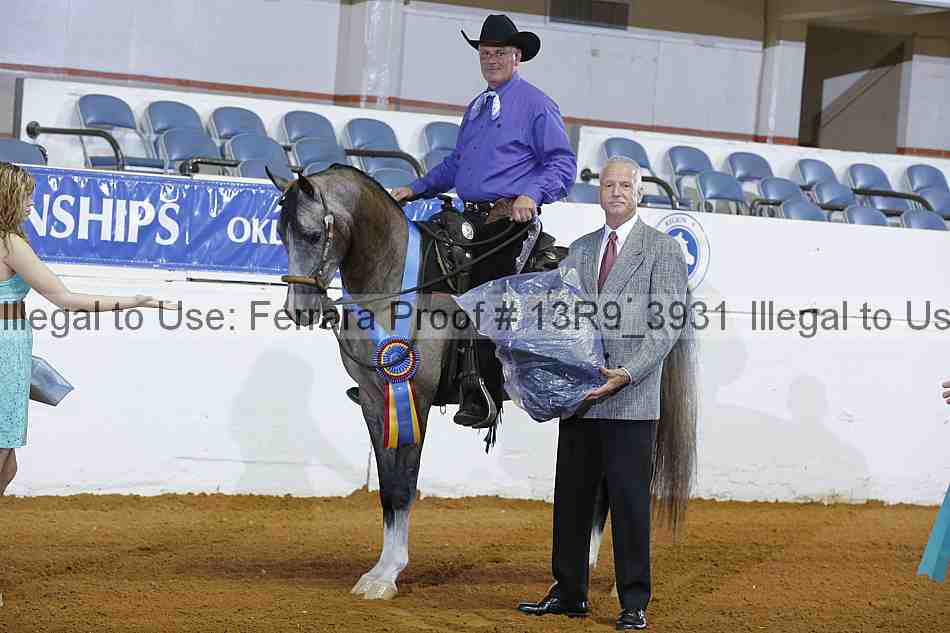 Proof 13r9_3931