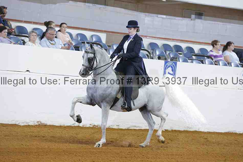 Proof 13r9_3937