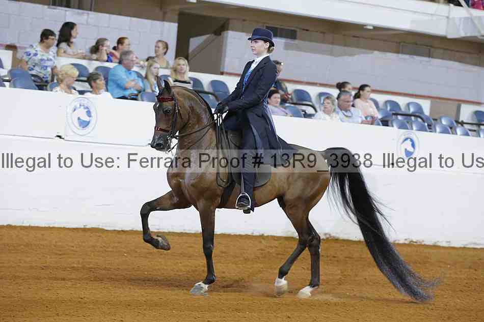 Proof 13r9_3938