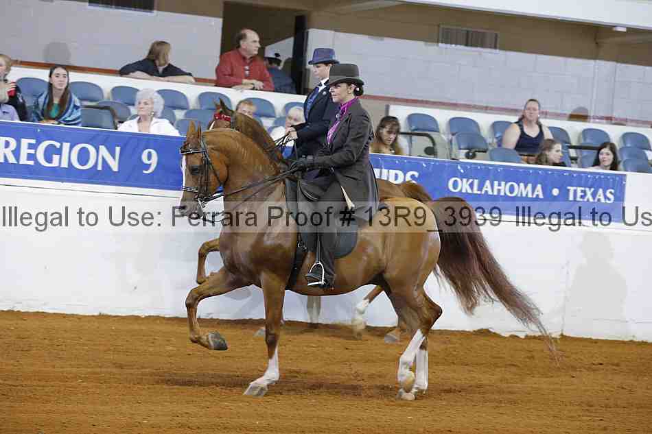 Proof 13r9_3939
