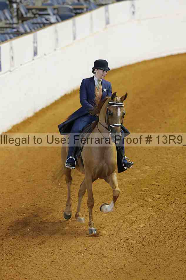 Proof 13r9_3940