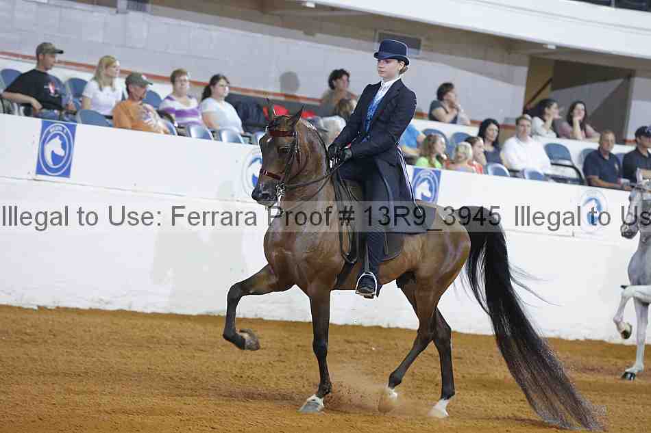 Proof 13r9_3945