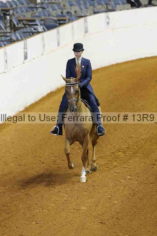 Proof 13r9_3948