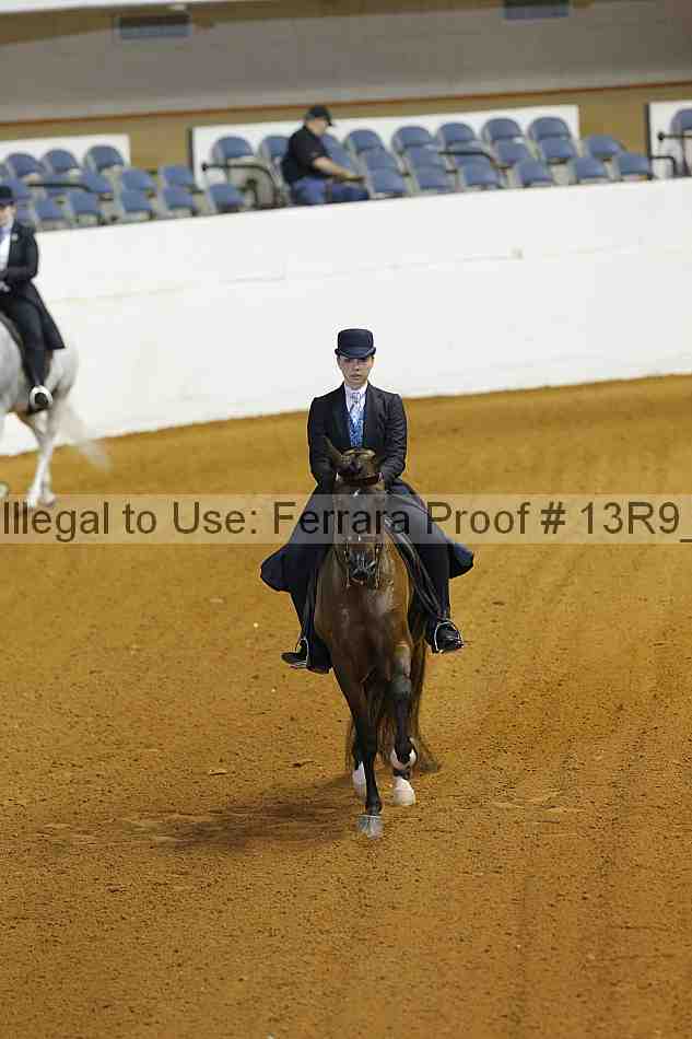 Proof 13r9_3952