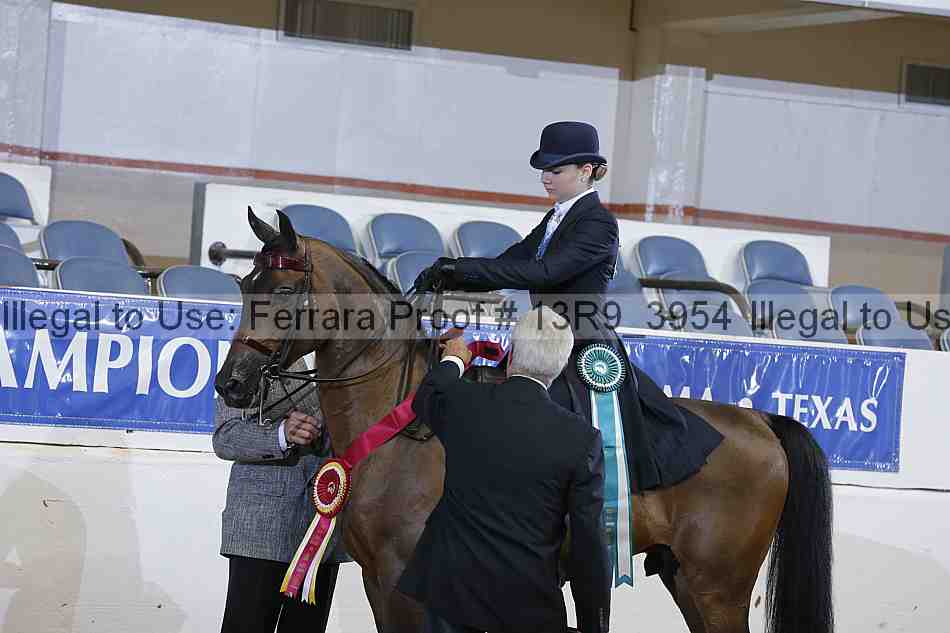Proof 13r9_3954