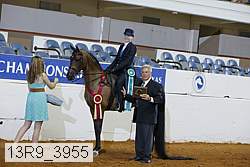 13r9_3955 proof