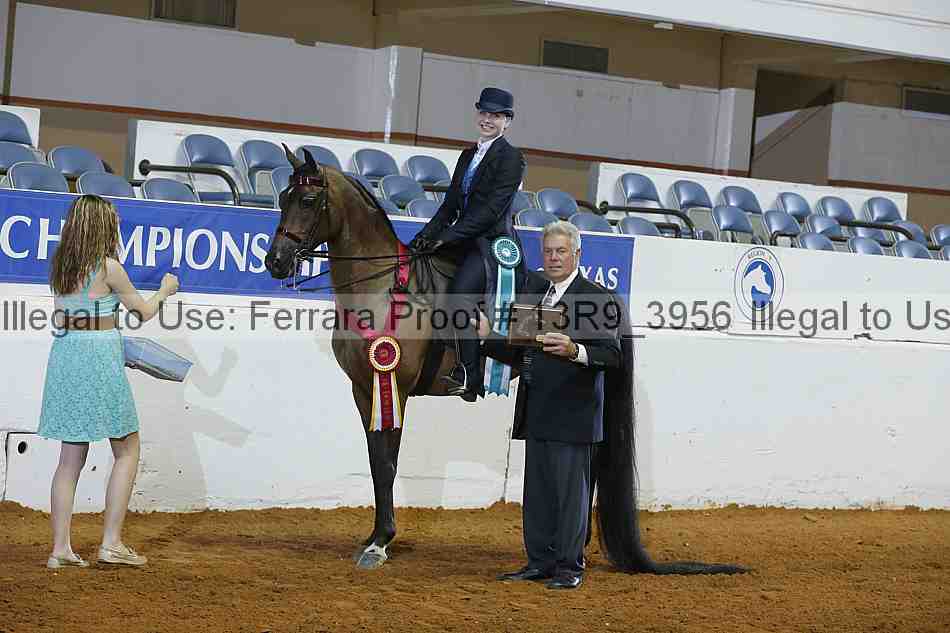 Proof 13r9_3956