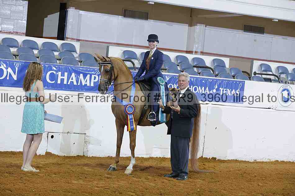 Proof 13r9_3960