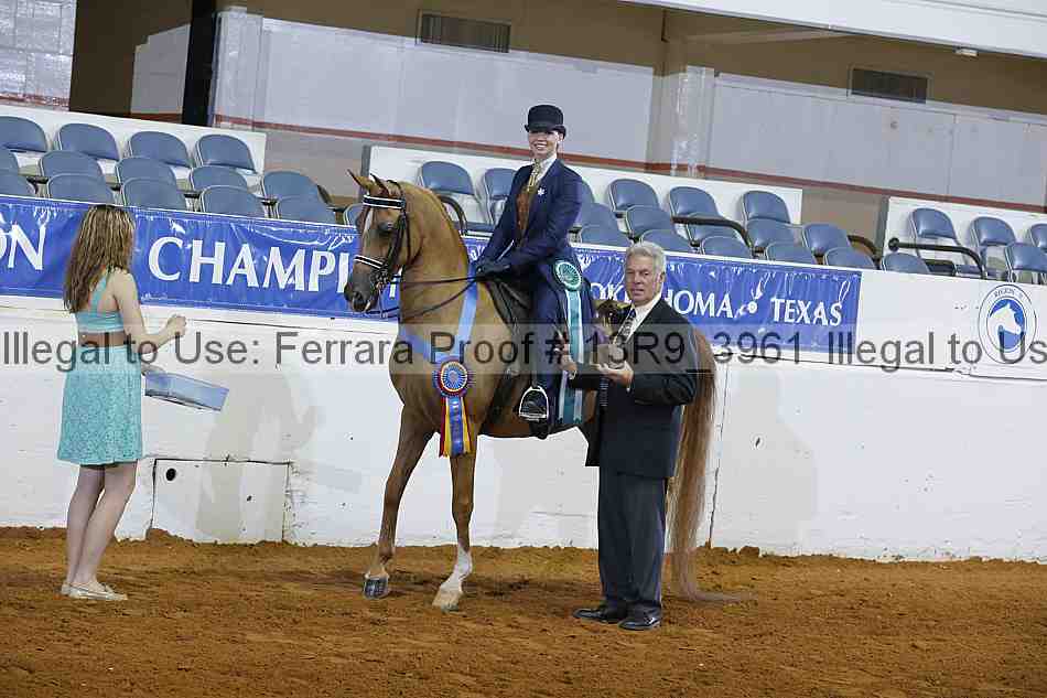Proof 13r9_3961