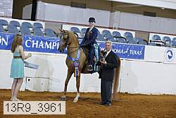 13r9_3961 proof
