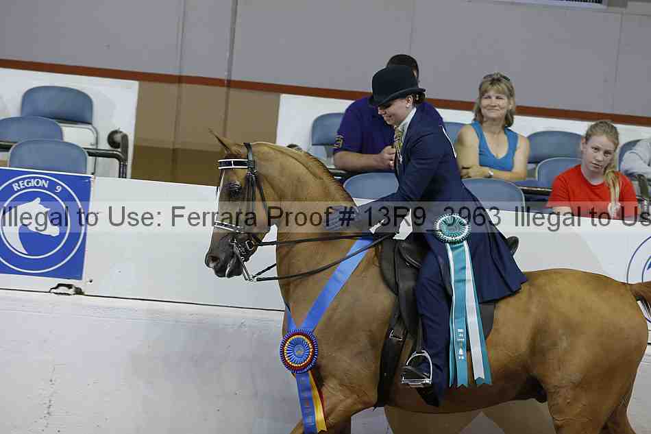 Proof 13r9_3963