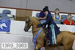 13r9_3963 proof