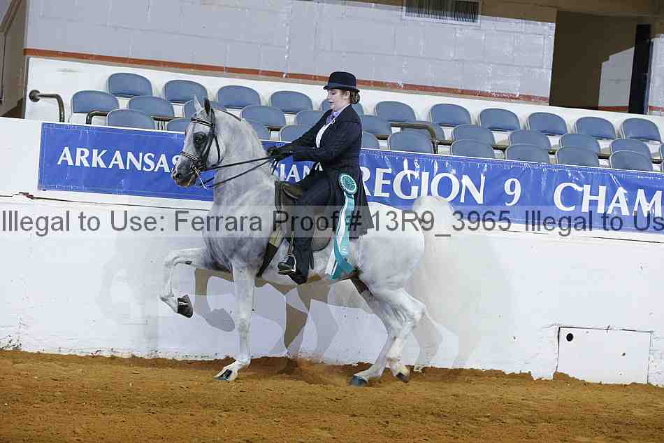 Proof 13r9_3965
