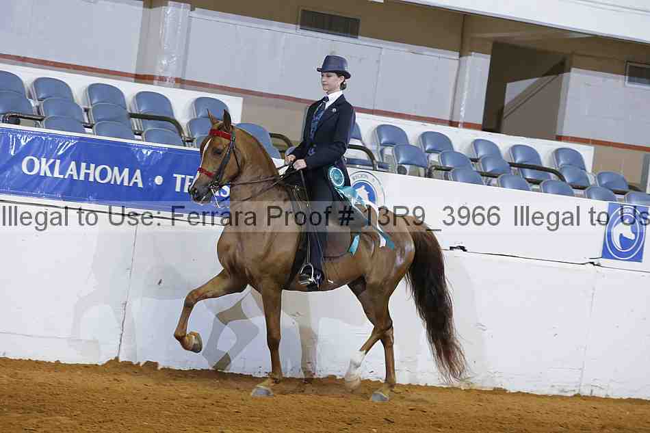 Proof 13r9_3966