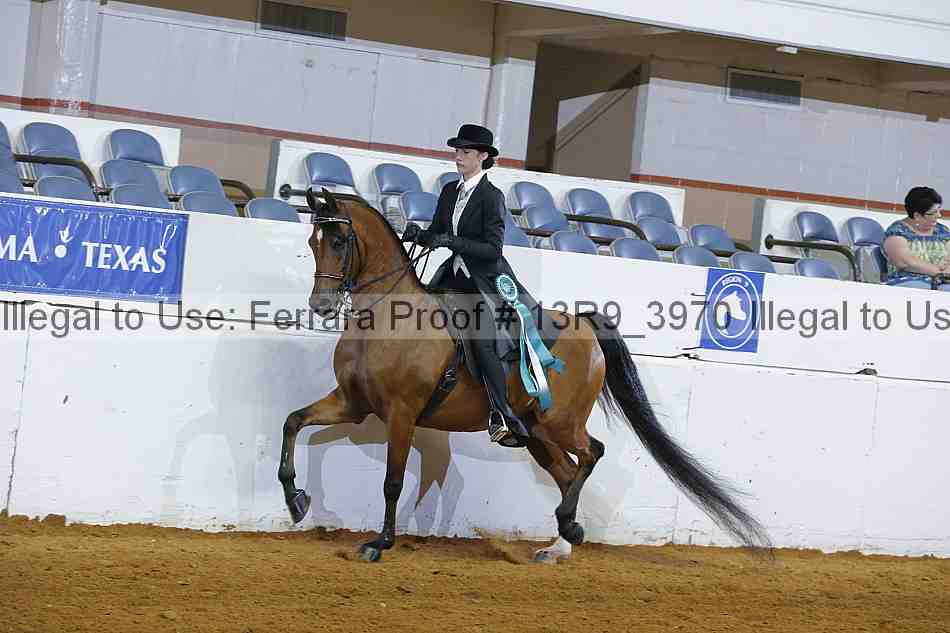 Proof 13r9_3970