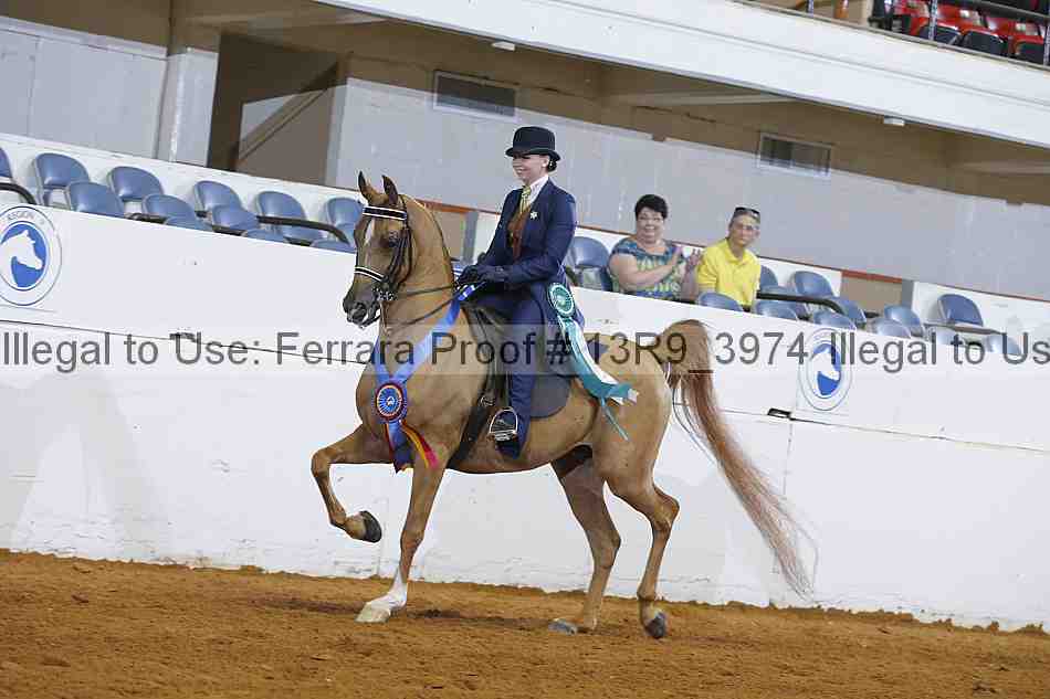 Proof 13r9_3974