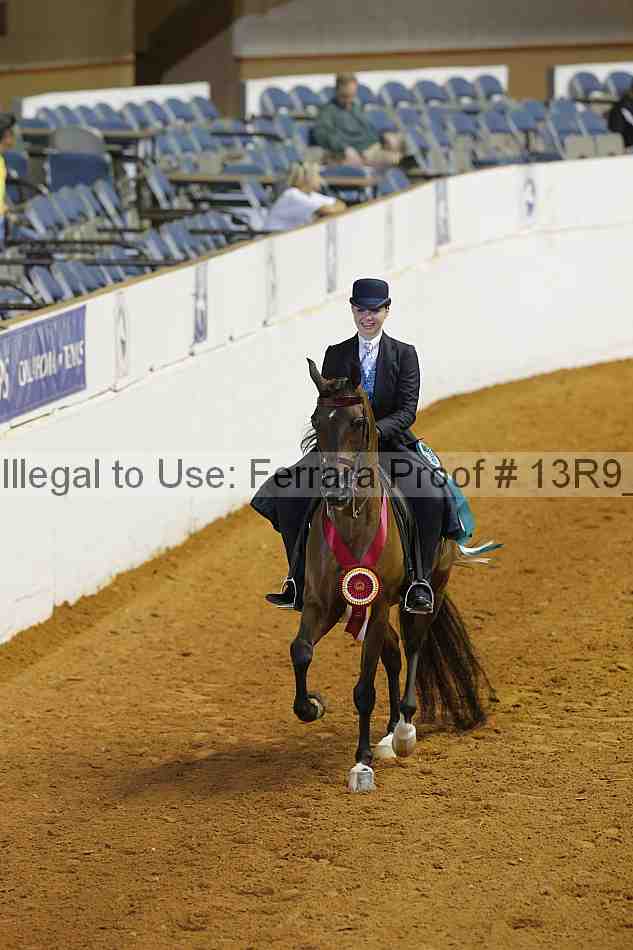 Proof 13r9_3975