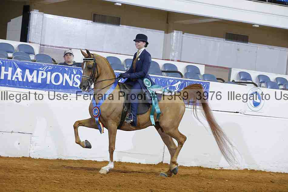 Proof 13r9_3976