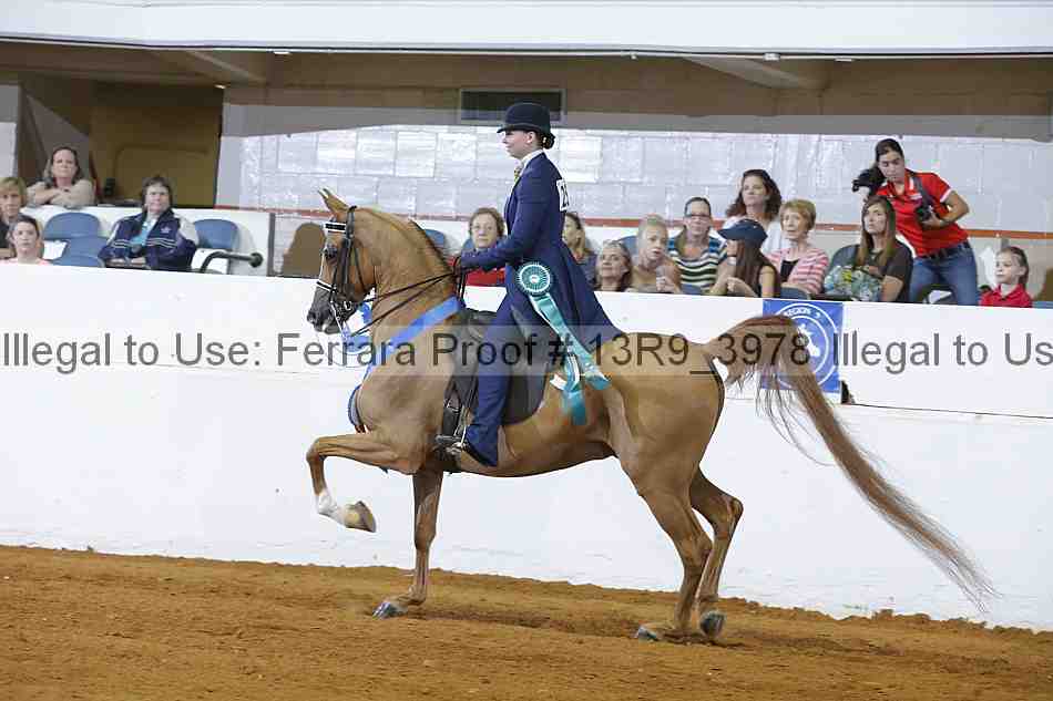 Proof 13r9_3978